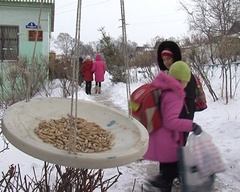Юные натуралисты подкармливают синиц, поползней и… фазанов