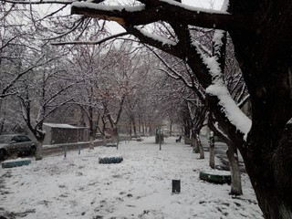 Первый большой снег пошел сегодня в Уссурийске