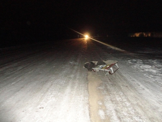 Водитель иномарки сбил насмерть школьницу в селе Воздвиженка 