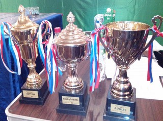 Выставка кошек “Новогодний карнавал” прошла в Уссурийске