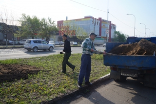 Около 250 тысяч цветов распустится на клумбах Уссурийска