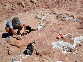 В Аргентине найдены останки самого большого динозавра на Земле