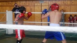 Сильнейшие кикбоксёры определены в Приморье