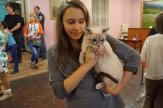 Редкие породы кошек привезли участники Международной выставки в Уссурийск