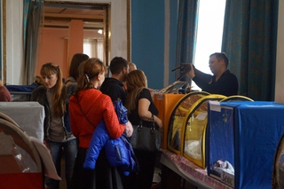 Редкие породы кошек привезли участники Международной выставки в Уссурийск