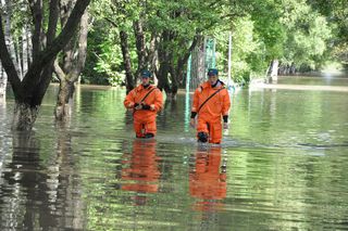 Операция по спасению животных в зоопарке «Зеленый остров» продолжается