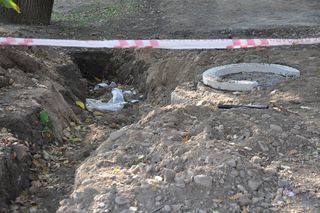 Работы по строительству зоопарка в Уссурийске продолжаются