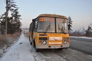 Почти 300 уссурийских детей получили возможность бесплатно посетить цирк во Владивостоке