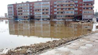 Работы по откачке воды с придомовой территории на ул. Новоникольский проезд, 10-а идут полным ходом