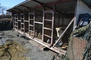 Сотрудники полиции совершили рейд по уссурийским кафе восточной кухни