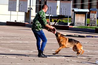 В Уссурийске 50-ю годовщину отметили моторизированные воинские части Внутренних войск МВД России