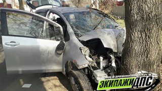 Автомобиль влетел в дерево в результате ДТП в Уссурийске